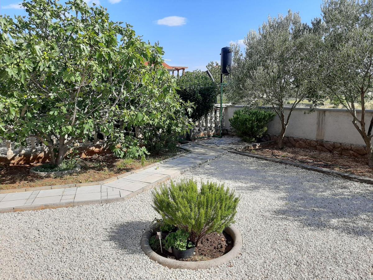 Apartman Pajo Seline Exterior photo